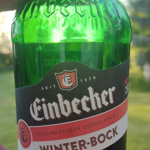 Einbecker Bierflasche erhellt durch Sonnenstrahlen 