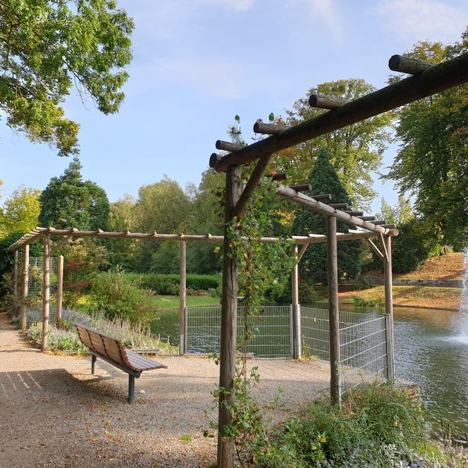 Bank unter Holzpergola am Teich mit Springbrunnen im grünen Park des Bäckerwalls in Einbeck.