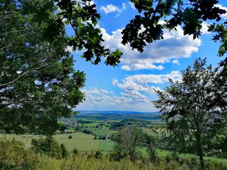 Weiter Blick über grüne Felder und sanfte Hügel des Leinetals unter blauem Himmel mit weißen Wolken