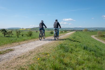 Zwei Fahrradfahrer auf einem unbefestigten Weg im Leinepolder bei Einbeck, umgeben von grünen Wiesen.