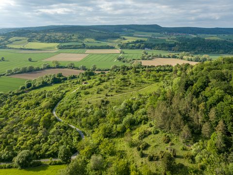 Luftaufnahme-des-Dohrenbergs-in-Einbeck