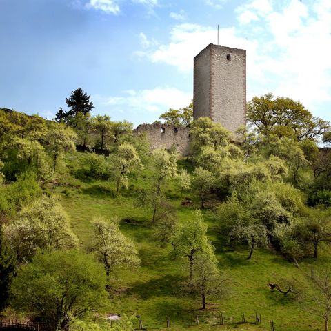 Ruine der Greener Burg