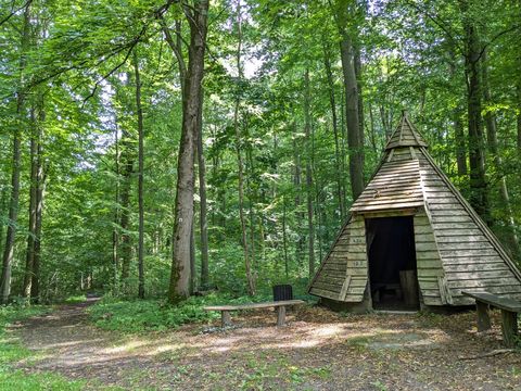 Stadtwald Hube_Märchenwald