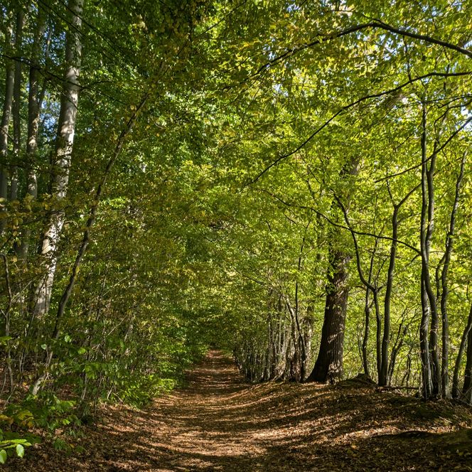 Beschilderung auf dem VitalWeg 7 und 22