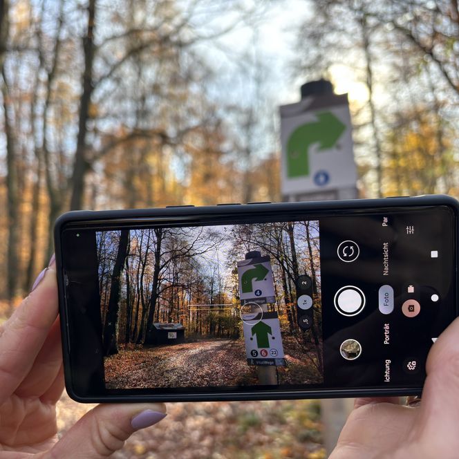 Wegweiser der VitalWegen 4, 5 und 6 im herbstlichen Wald, fotografiert mit einem Smartphone.