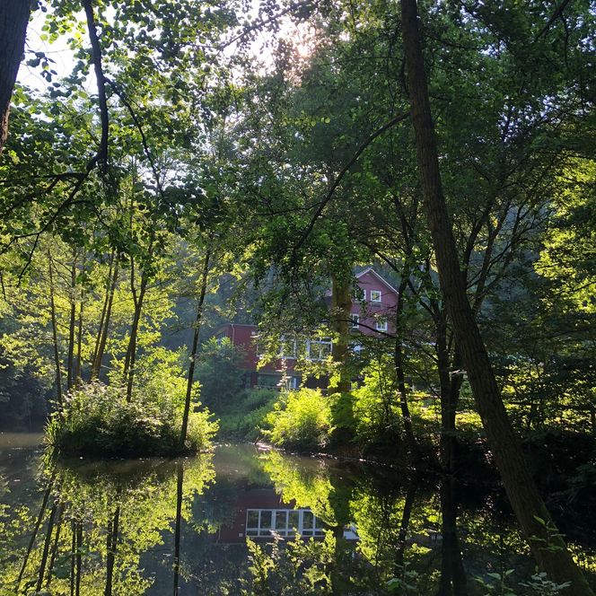 Sonnenlicht fällt durch Bäume auf einen kleinen Teich, in dem sich ein rotes Haus spiegelt.