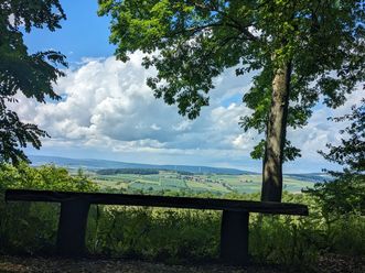 Holzbank am Waldrand mit Blick über Felder, Hügel und weitläufige Landschaft unter Wolkenhimmel.