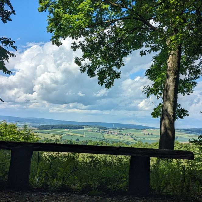 Holzbank am Waldrand mit Blick über Felder, Hügel und weitläufige Landschaft unter Wolkenhimmel.