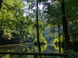Teich_An den Teichen