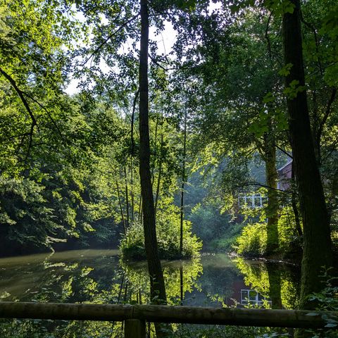 Teich_An den Teichen