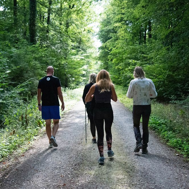 Vier Personen wandern auf einem schattigen Waldweg bei Einbeck, umgeben von dichtem Grün.