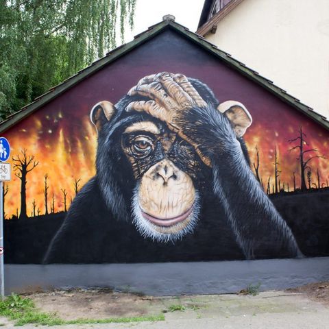 Einbecker Street Art