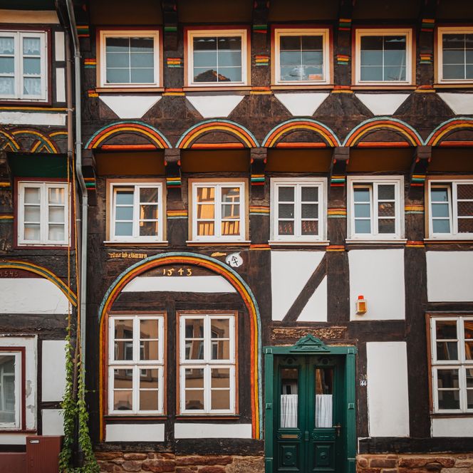 Kunstvoll verziertes Fachwerkhaus in Einbeck mit einer Hopfenpflanze vor der Tür.