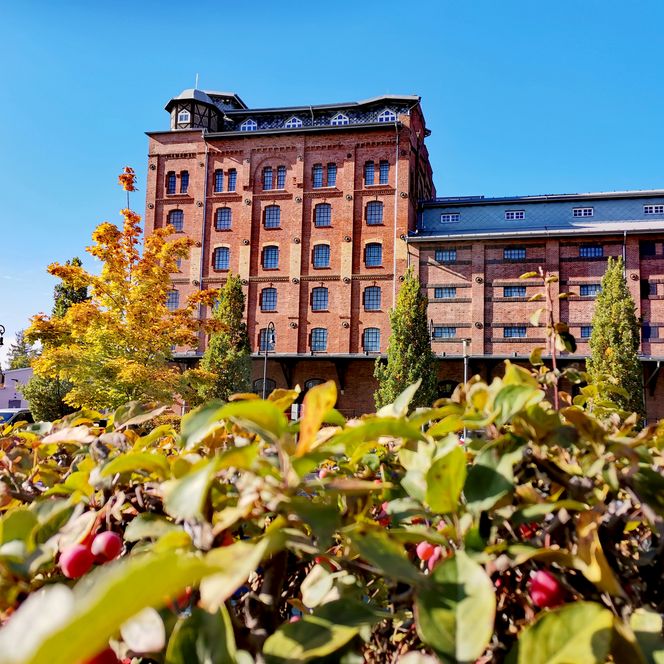 Herbstlicher Blick auf den historischen Kornspeicher des PS.SPEICHER an einem sonnigen Tag.