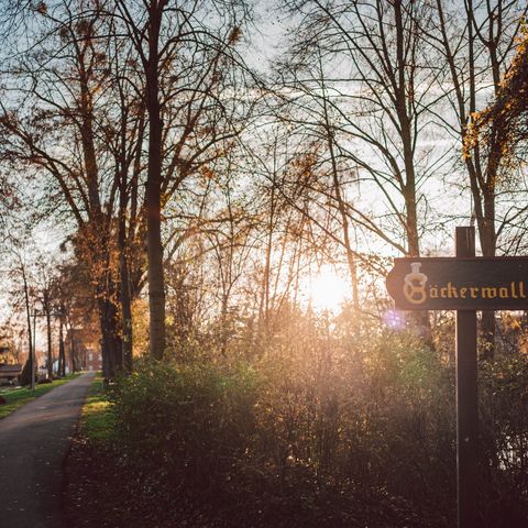 Ein Teil der ehemaligen Verteidigungsanlagen, der Bäckerwall, am Abend beim Sonnenuntergang.