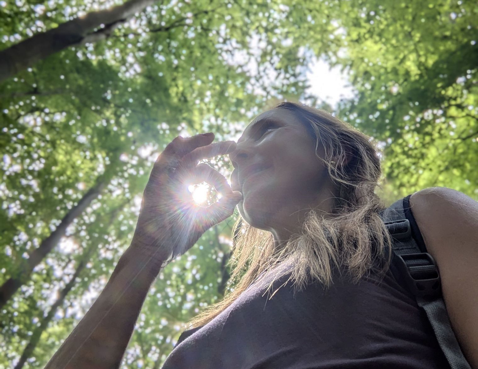 Wanderung durch den Wald, Sonnenlicht