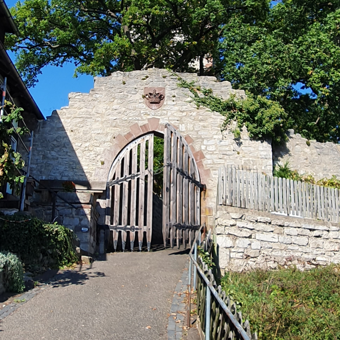 Weg zum Eingang der Burgruine