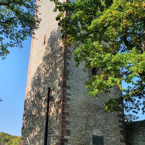 eingang-greener-burg