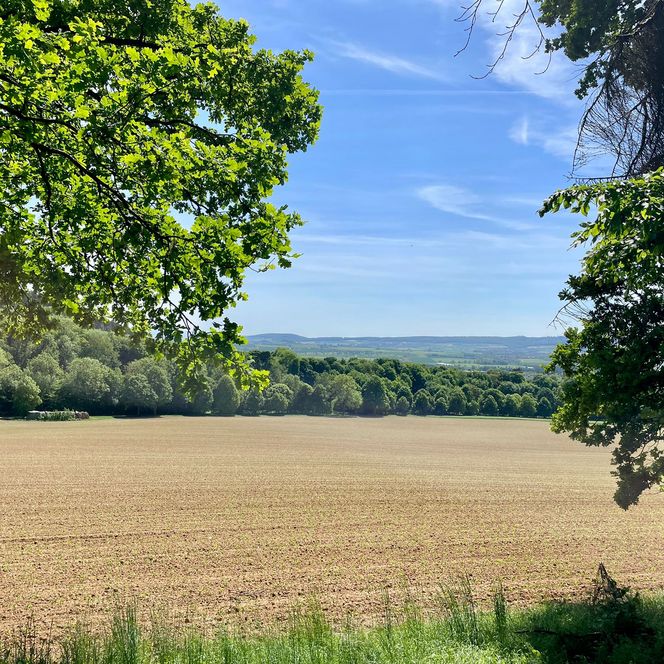 Ausblick von den VitalWegen 6 und 8