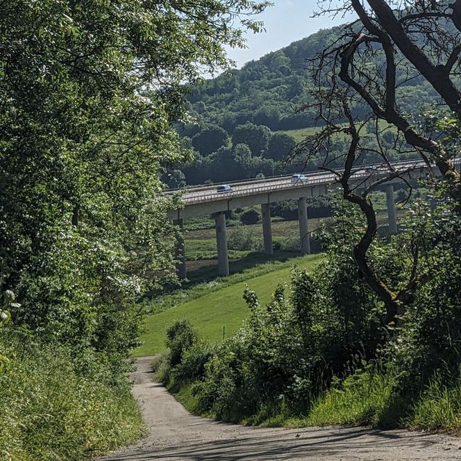 Burgweg, Wanderkonzept, Fotos, Route