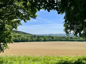 Blick über ein offenes Feld mit grünen Baumreihen und sanft ansteigenden Hügeln im Hintergrund.