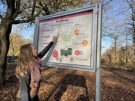 Frau betrachtet im herbstlichen Wald die Starttafel der Vitalwege auf der Hube in Einbeck.