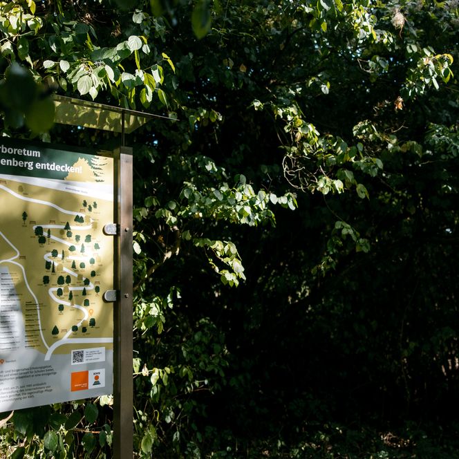 Infotafel vor dichten Bäumen zum Naturgebiet am Kirschenberg in Einbeck