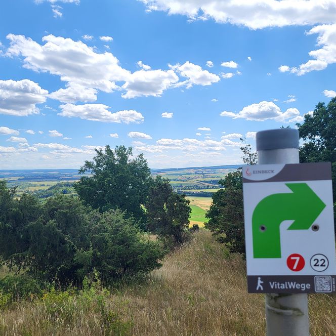 Wegweiser der VitalWege Einbeck vor weiter Landschaft mit Wiesen, Feldern und blauem Himmel.