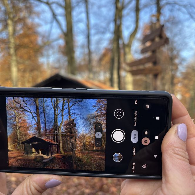 Nahaufnahme eines Smartphones, das eine beschilderte Waldhütte im herbstlichen VitalWeg einfängt.