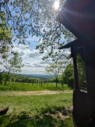 Die Schutzhütte befindet sich am Waldrand, beim Waldgehege an der Hube.